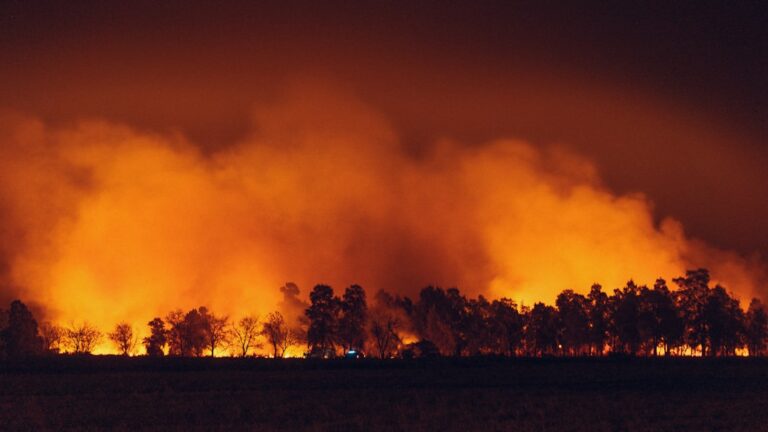 Maui Wildfire Death Toll Reaches 114 as Search Continues