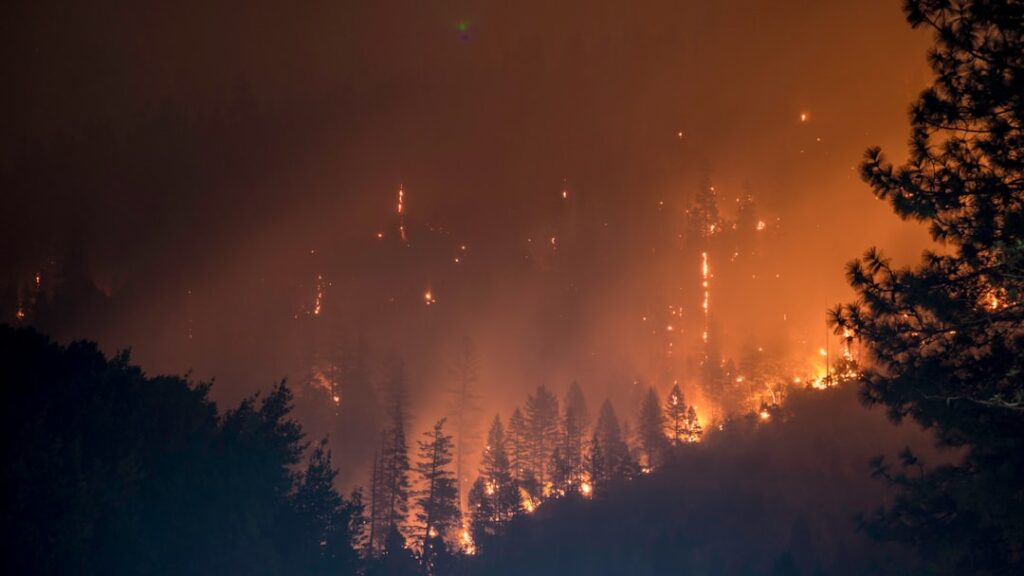 Smoke rising from a wildfire near a village in northeastern Greece as residents flee their homes.