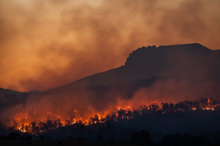 Kelowna Wildfire Destroys Resort, Forces 165,000 Evacuations