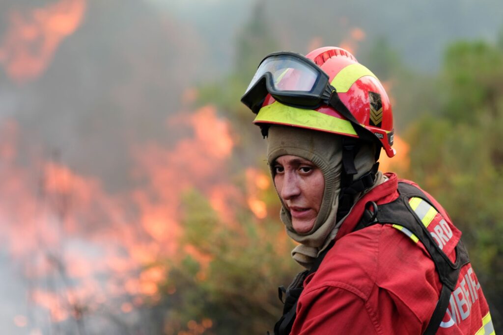 Three Firefighters Hospitalized Madeira Wildfire Engulf