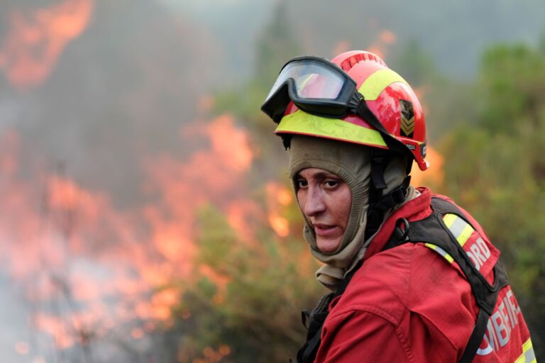 Three Firefighters Hospitalized as Madeira Wildfire Engulfs 5,700 Hectares