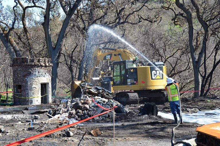 EU Mobilizes Disaster Funds for Wildfire Recovery and Relief
