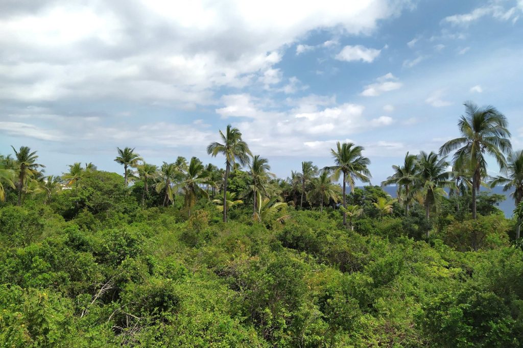 Comoros Switches On 20 MW Solar Network Backed By UAE