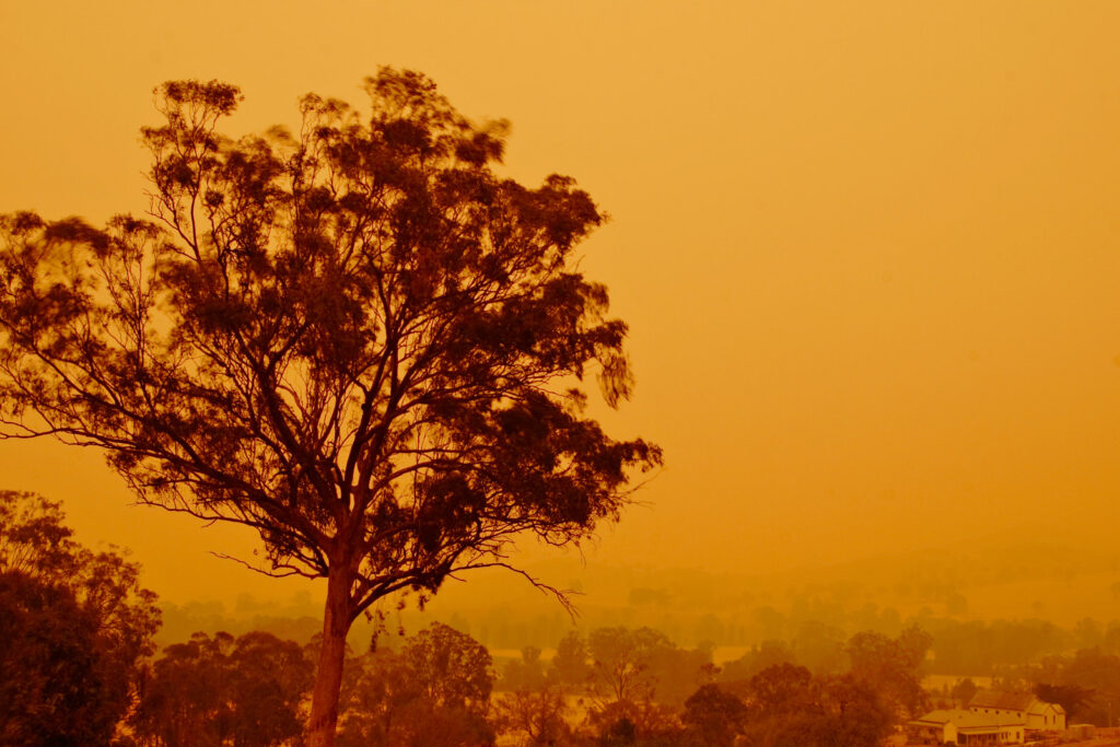 Australian Bushfires Kill Firefighter, Destroy Dozens of Homes