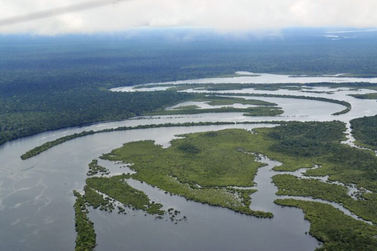 Pre-Columbian Amazon: ‘Wilderness’ or ‘Cultural Parkland’?