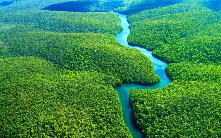 Amazon Structures Found: Ground Verification and Preservation Underway