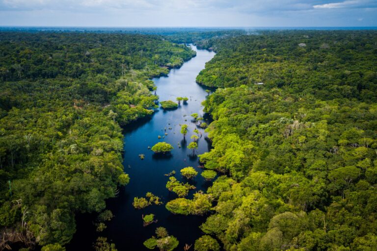 Lidar Uncovers Hidden Archaeological Sites in Dense Forests