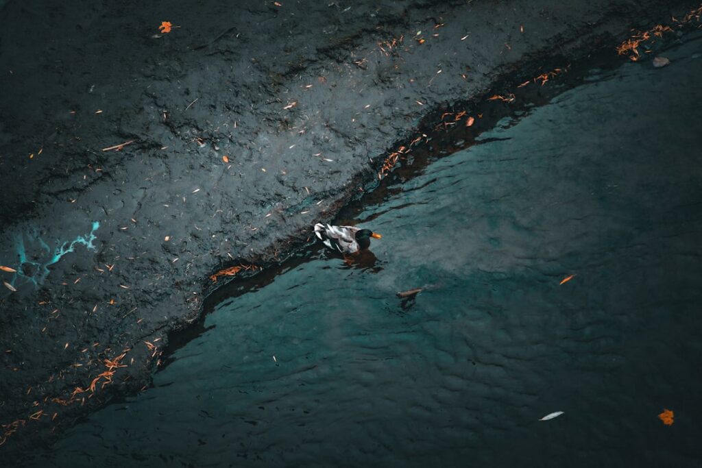 Oil slick spreading across the water near Singapore's Pasir Panjang Terminal after a dredger collided with a bunker vessel.