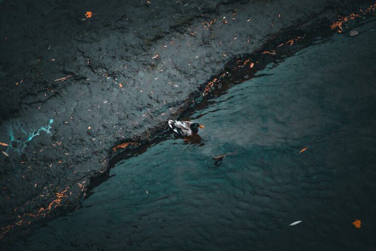 Oil Spill from Ship Collision Spreads Across Singapore’s Coast