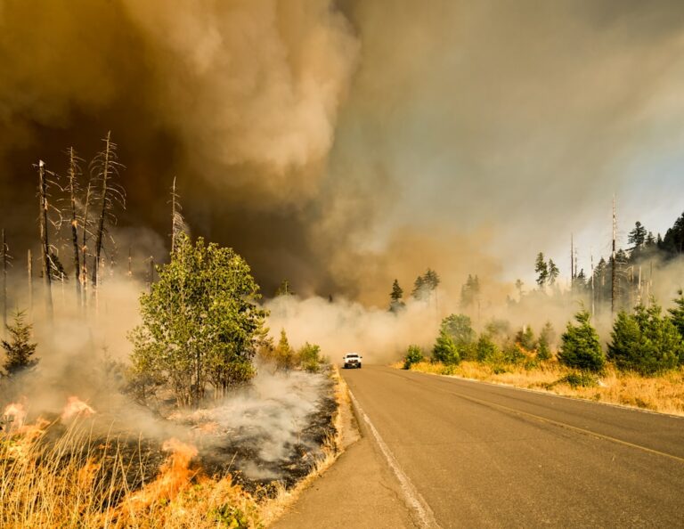 Bushfires Engulf New South Wales, Overwhelming Firefighters and Residents Alike