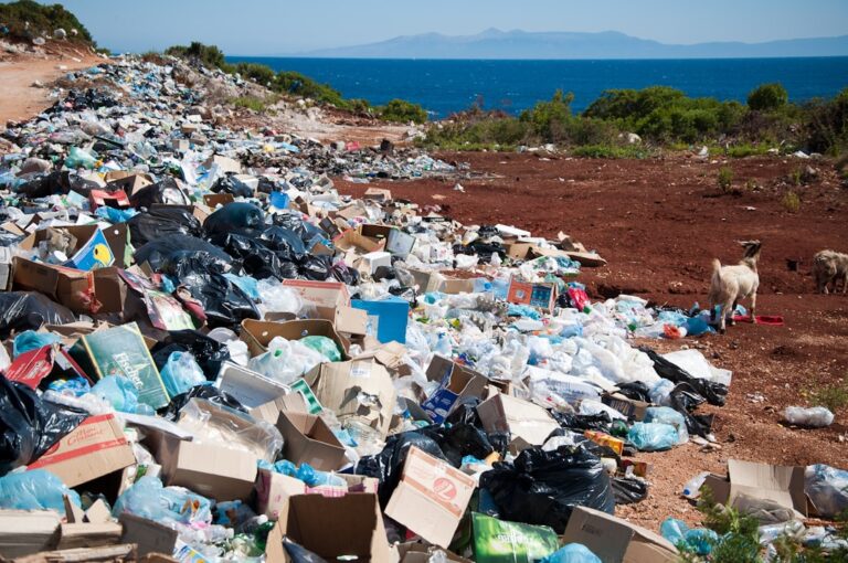 Cebu City Landfill Collapse Claims 36 Lives, Probe Begins