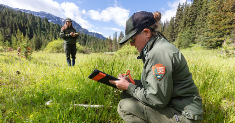 USAID Dismantling Stalls Conservation, Leaves 100 Projects Seeking Funding
