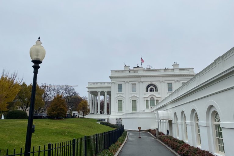 Trump’s AI Czar Plan Joins History of White House Tech Roles