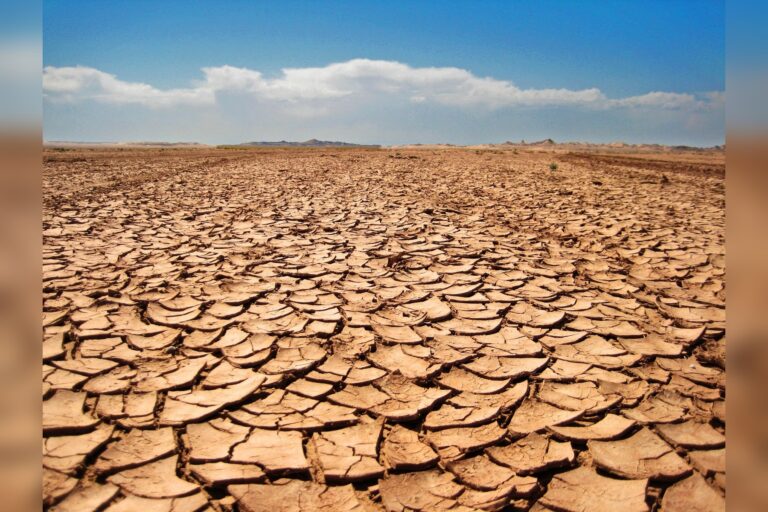 Copernicus: 53% of Europe in Drought Last August