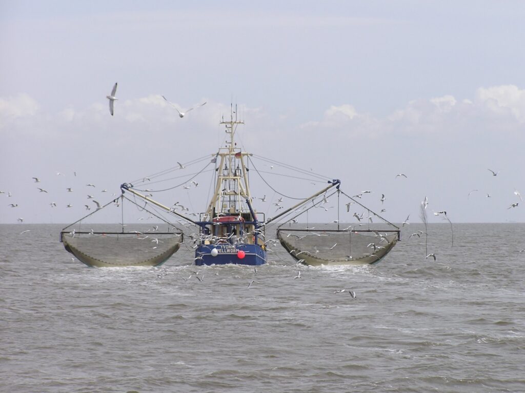 Fishing Boat