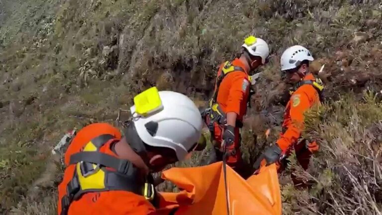 Helicopter Crash Kills Four in Central Papua