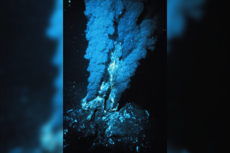 1977 Discovery of Hydrothermal Vents Marked the Beginning of