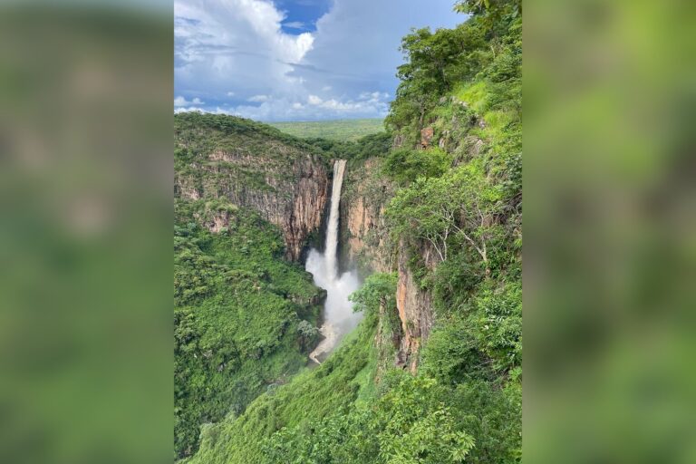 Ancient 476,000-year-old wooden structure discovered at Kalambo Falls site