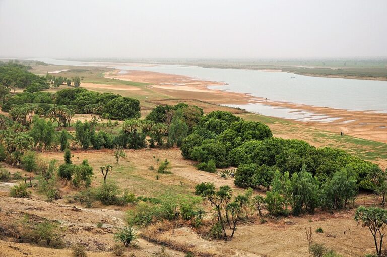 Niger Boat Disaster: 25 Dead, 49 Missing