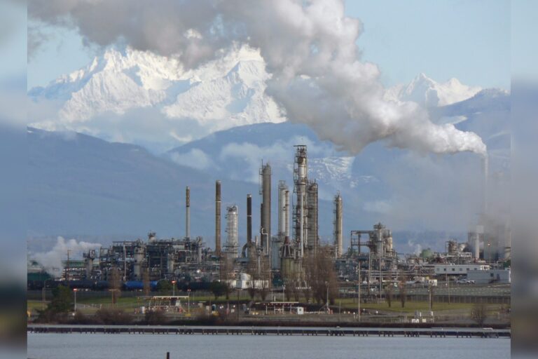 Putin dismisses refinery strikes as fuel shortages grow