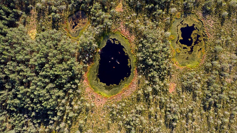 Peatlands