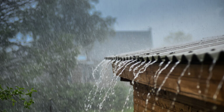 Kolkata’s July Monsoon Matches Eastern India’s Regional Patterns