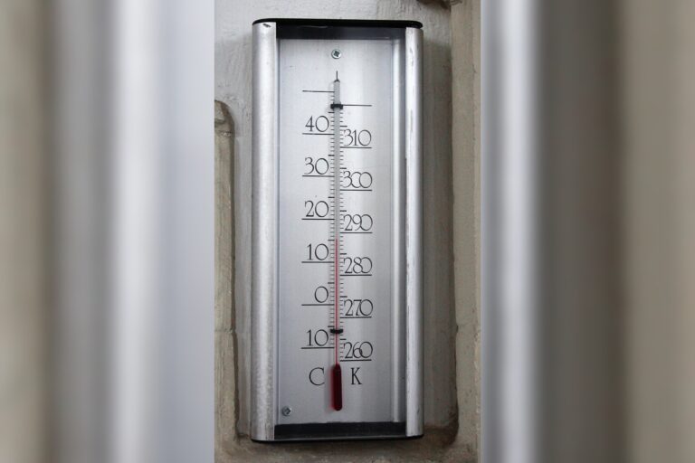 Germany’s Record Heat Wave Reveals Lack of National Heat Protection Rules