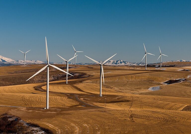 State Renewable Portfolio Standards: How Mandates Shape Electricity