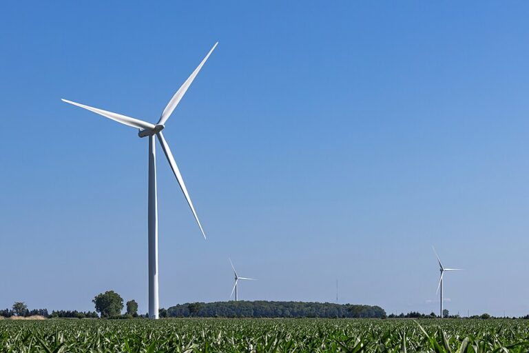 Renewable energy powers 72% of Turkey’s May electricity grid