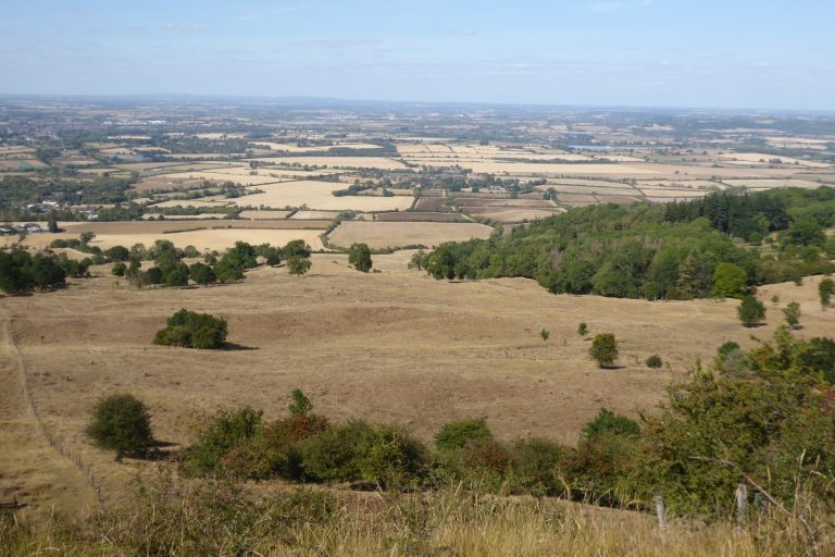 Climate Modeling Shows 2°C Warming Could Make Simultaneous Crop Failures Over Eight Times