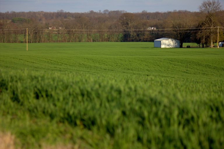 Farmers Urge Federal Aid After Illinois Storms Rejected