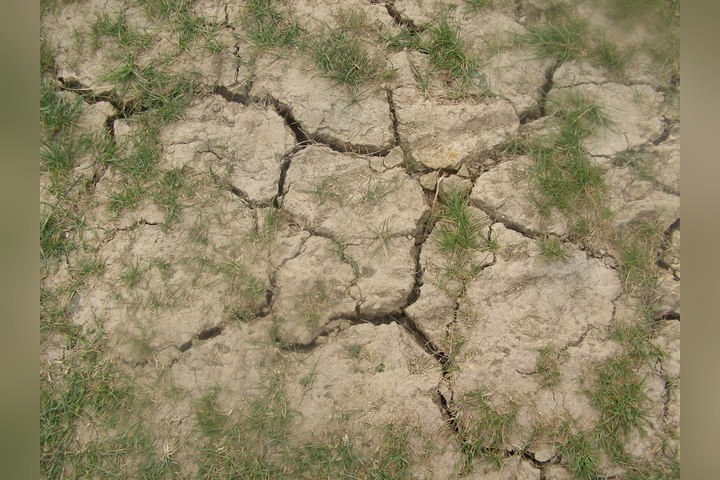National Drought Group warns of fractured water risk after dry spring