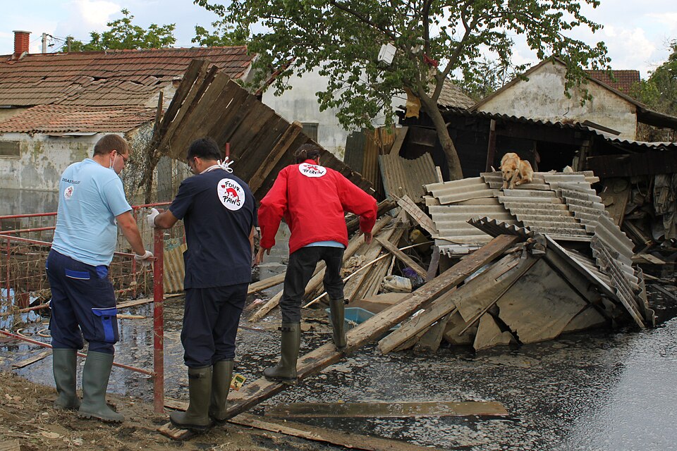 Disaster Response Team In Action