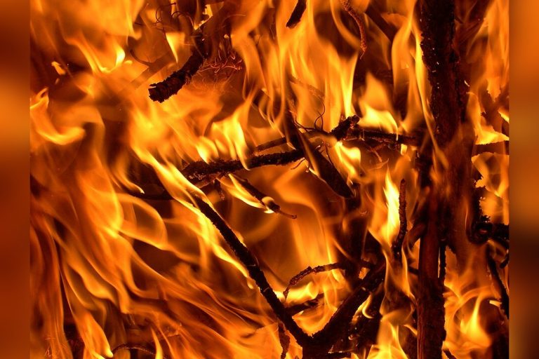 Deadly Fire Engulfs Saint Petersburg Market, Killing One