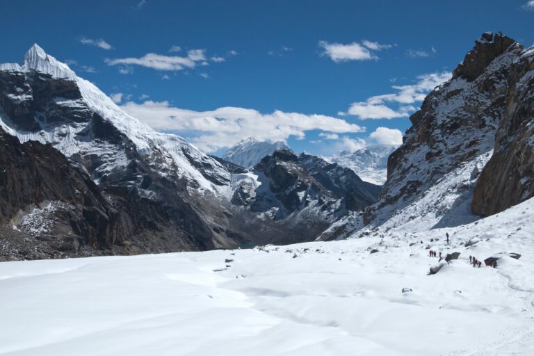 Rare Himalayan Wormlion Discovery Reveals Hidden Richness of High-Altitude Ecosystems