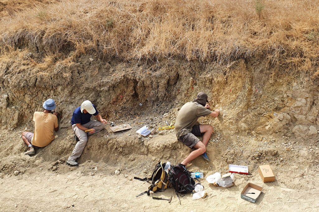 New Dating of 'Ubeidiya Site Rewrites Timeline of Early Human Migration
