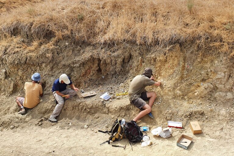 New Dating of ‘Ubeidiya Site Rewrites Timeline of Early Human Migration