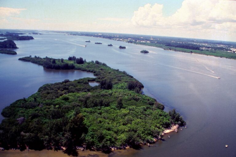 How Agricultural Runoff and Septic Waste Fuel Indian River Lagoon Blooms