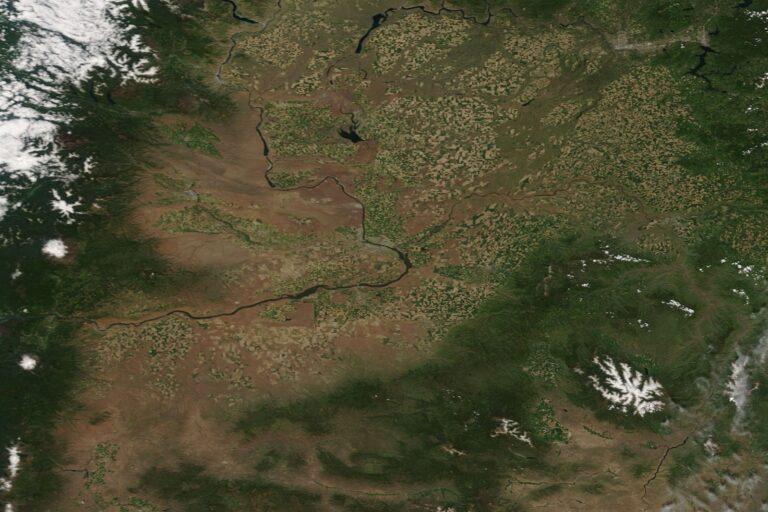 How Seismology Connects Tectonic Shaking to Massive Mountain Landslides