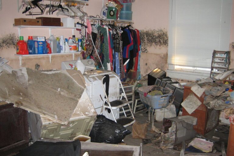 Post-Flood Mold Drives Rising Hypersensitivity Pneumonitis Cases Amid Climate Shifts