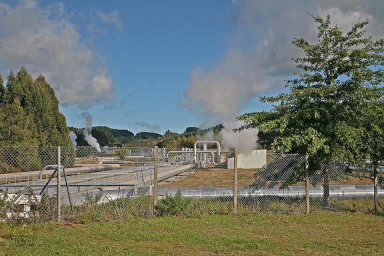 Indonesia Launches Carbon Market Amid Questions Over Offset Integrity