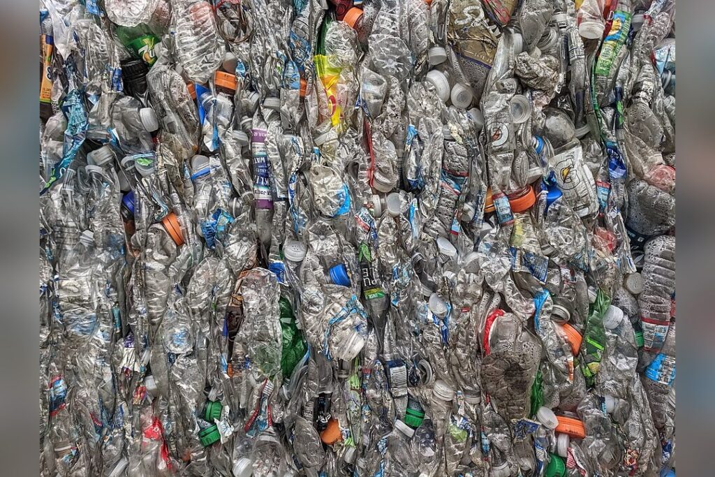 Recycled Pet Bottles