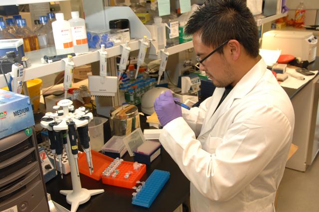 Scientists Make Breakthrough in Gene Editing Human Embryos Precisely