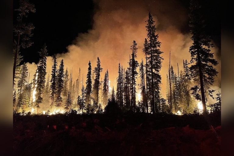 Europe Faces More Intense, Frequent Wildfires: Climate Models Warn
